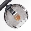 Koyoto Plafondlamp, Kogellampje Rookkleurig, 8-lichts