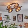 Koyoto Plafondlamp, Kogellampje Rookkleurig, 8-lichts