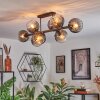 Koyoto Plafondlamp, Kogellampje Duidelijk, Rookkleurig, 8-lichts