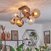 Koyoto Plafondlamp, Kogellampje Amber, Duidelijk, Rookkleurig, 8-lichts