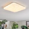 Loden Plafondlamp LED Wit, 1-licht