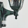 Naofe Wandlamp voor buiten, Wandlamp Groen, Zwart, 1-licht, Bewegingsmelder