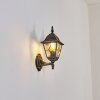 Naofe Wandlamp voor buiten, Wandlamp Bruin, Goud, 1-licht