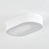 Paleroo Buitenshuis plafond verlichting LED Wit, 1-licht