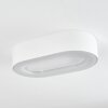 Paleroo Buitenshuis plafond verlichting LED Wit, 1-licht