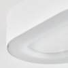 Paleroo Buitenshuis plafond verlichting LED Wit, 1-licht