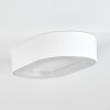 Paleroo Buitenshuis plafond verlichting LED Wit, 1-licht