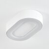 Paleroo Buitenshuis plafond verlichting LED Wit, 1-licht