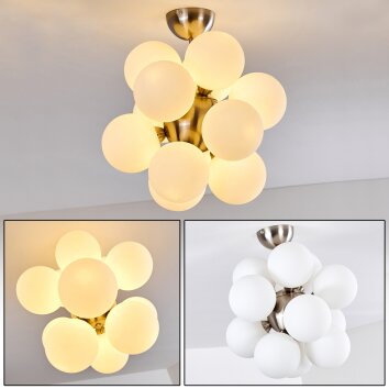 Hyco Plafondlamp Nikkel mat, 12-lichts