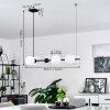 Rascoupet Hanglamp Zwart, 6-lichts