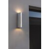 Lutec LEO Buiten muurverlichting LED Chroom, 1-licht