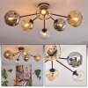 Ripoll Plafondlamp, Kogellampje Amber, Duidelijk, Rookkleurig, 6-lichts