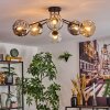 Ripoll Plafondlamp, Kogellampje Amber, Duidelijk, Rookkleurig, 6-lichts