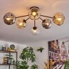Ripoll Plafondlamp, Kogellampje Amber, Duidelijk, Rookkleurig, 6-lichts