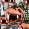 Gastor Hanglamp, Kogellampje, Hanglamp Duidelijk, Koperkleurig, 6-lichts