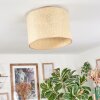 Sabadim Plafondlamp Beige, Natuurlijke kleuren, 1-licht