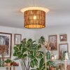 Cando Plafondlamp Natuurlijke kleuren, 1-licht