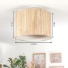 Bongal Plafondlamp Beige, Natuurlijke kleuren, 1-licht