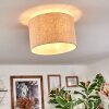 Bassagoda Plafondlamp Beige, Wit, 1-licht