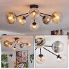 Koyoto Plafondlamp, Kogellampje 73 cm Amber, Duidelijk, Rookkleurig, 6-lichts