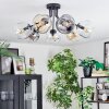 Ripoll Plafondlamp, Kogellampje Amber, Duidelijk, Rookkleurig, 7-lichts