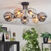 Ripoll Plafondlamp, Kogellampje Amber, Duidelijk, Rookkleurig, 7-lichts