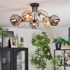 Ripoll Plafondlamp, Kogellampje Amber, Duidelijk, Rookkleurig, 7-lichts