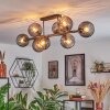 Koyoto Plafondlamp, Kogellampje Rookkleurig, 8-lichts