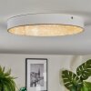 Elmar Plafondlamp, Paneel LED Wit, 1-licht