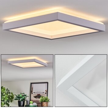 Xarel Plafondlamp, Paneel LED Wit, 1-licht