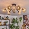 Ripoll Plafondlamp, Kogellampje Amber, Duidelijk, Rookkleurig, 10-lichts