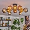Ripoll Plafondlamp, Kogellampje Goud, Koperkleurig, Rookkleurig, 10-lichts