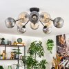 Ripoll Plafondlamp, Kogellampje Amber, Duidelijk, Rookkleurig, 10-lichts
