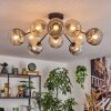 Ripoll Plafondlamp, Kogellampje Amber, Duidelijk, Rookkleurig, 10-lichts
