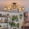 Ripoll Plafondlamp, Kogellampje Amber, Duidelijk, Rookkleurig, 10-lichts
