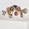 Ripoll Plafondlamp, Kogellampje Goud, Duidelijk, Koperkleurig, Rookkleurig, 10-lichts