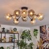 Ripoll Plafondlamp, Kogellampje Amber, Duidelijk, Rookkleurig, 10-lichts