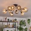 Ripoll Plafondlamp, Kogellampje Amber, Duidelijk, Rookkleurig, 10-lichts