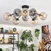 Ripoll Plafondlamp, Kogellampje Amber, Duidelijk, Rookkleurig, 10-lichts