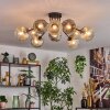 Ripoll Plafondlamp, Kogellampje Amber, Duidelijk, Rookkleurig, 10-lichts
