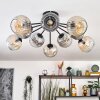 Ripoll Plafondlamp, Kogellampje Amber, Duidelijk, Rookkleurig, 10-lichts