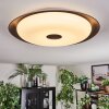 Goran Plafondlamp, Paneel LED Zwart, Wit, 1-licht, Afstandsbediening