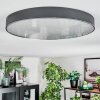 Elmar Plafondlamp, Paneel LED Zwart, 1-licht