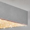 Esmar Plafondlamp, Paneel LED Zilver, 1-licht