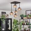 Koyoto Plafondlamp, Kogellampje Duidelijk, Rookkleurig, 5-lichts