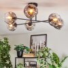 Ripoll Plafondlamp, Kogellampje Duidelijk, Rookkleurig, 6-lichts