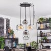 Ripoll Hanglamp, Kogellampje, Cluster hanglamp Amber, Duidelijk, Rookkleurig, 4-lichts