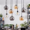 Ripoll Hanglamp, Kogellampje, Hanglamp Amber, Duidelijk, Rookkleurig, 8-lichts