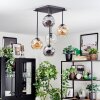 Ripoll Plafondlamp, Kogellampje Amber, Duidelijk, Rookkleurig, 5-lichts