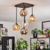 Ripoll Plafondlamp, Kogellampje Amber, Duidelijk, Rookkleurig, 5-lichts
